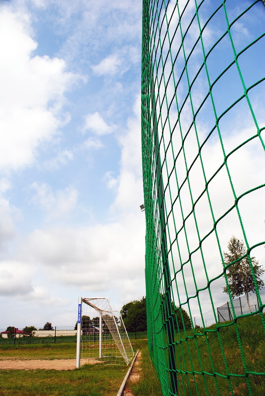 功不仅来源 功不仅来源