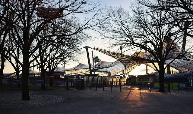 这两支球队 这两支球队