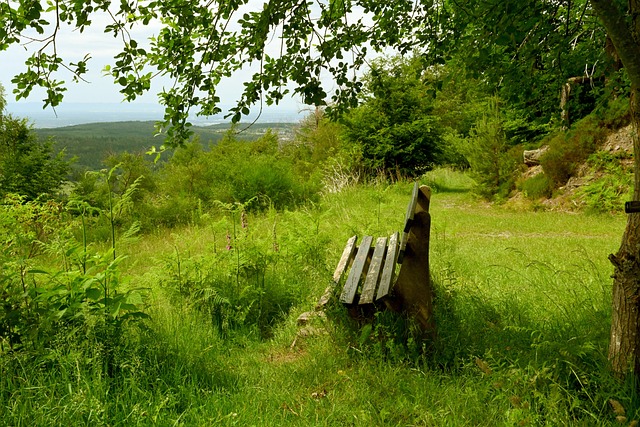 的变数无处 的变数无处